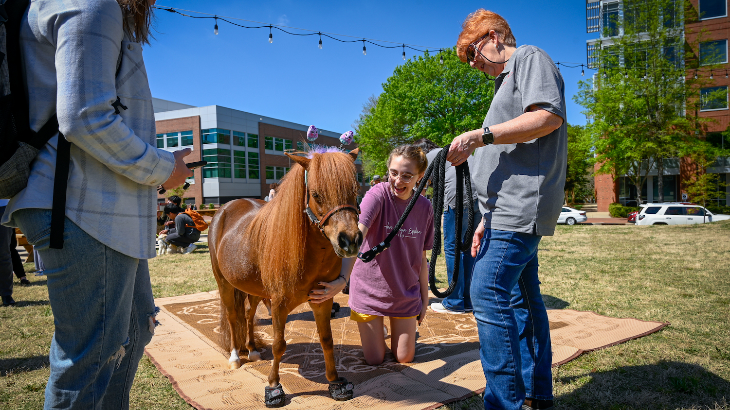 Therapy miniature horses from Stampede of Love, as well as therapy dogs, provide a wellness break from the end of semester rush.
