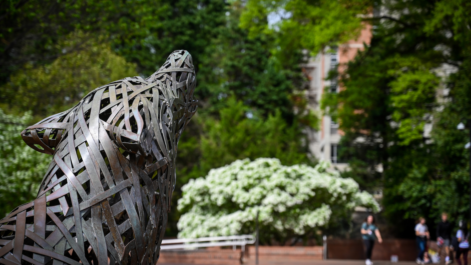 One of the copper wolves at Wolf Plaza looks out over students passing by during springtime.