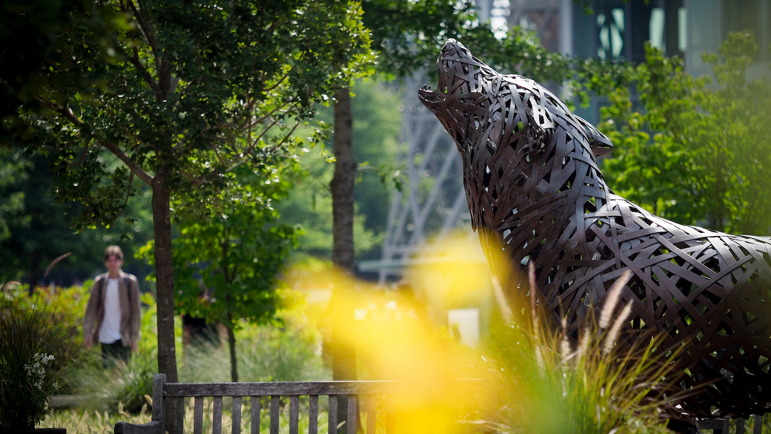 A copper wolf in Wolf Plaza is seen past a blooming flower.